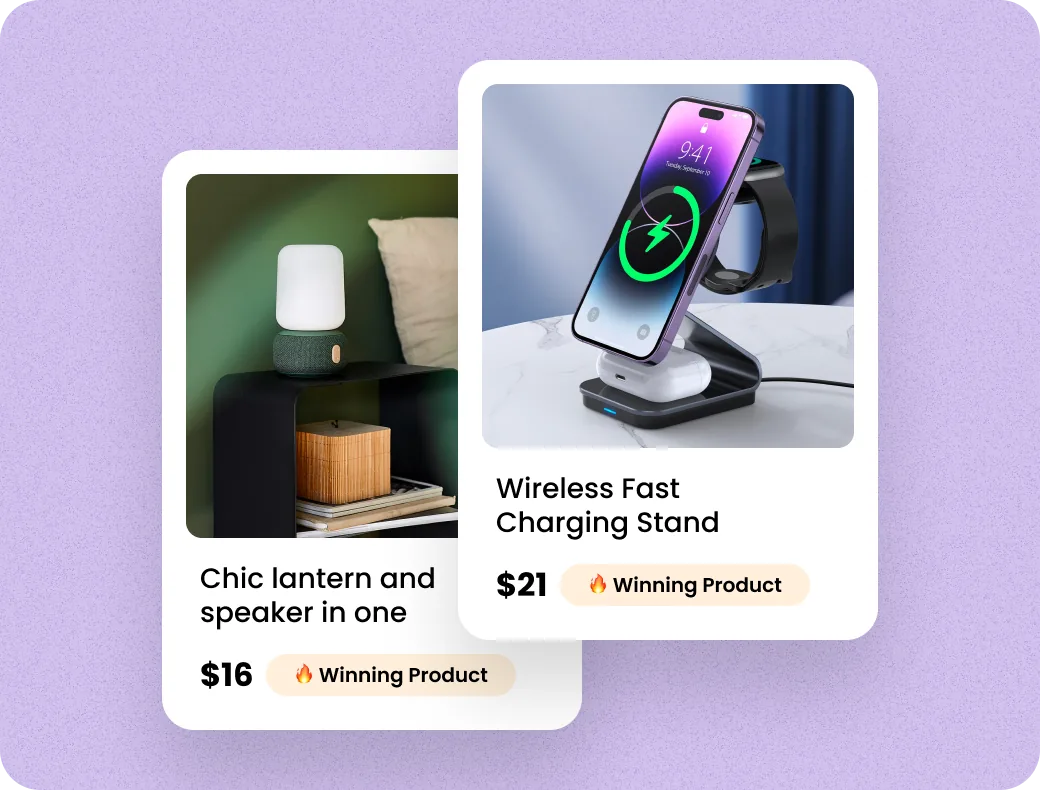 Winning products loaded into the store